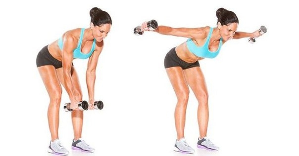 Упражнения с гантелями для укрепления мышц спины