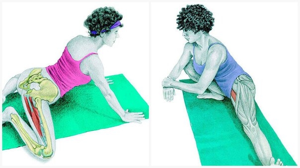 Упражнение «Лягушка» — 4 различных вида для растяжки ног, пресса и ягодиц