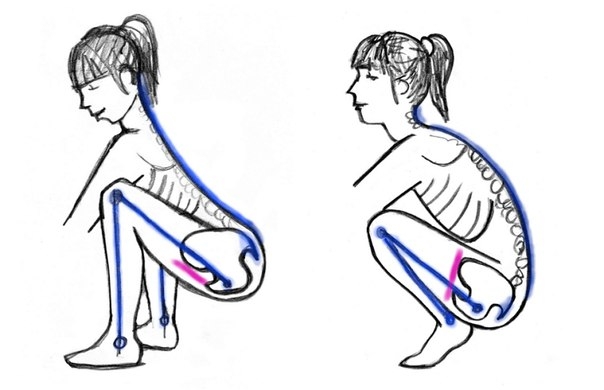 Диафрагма таза: забытое умение не поджимать хвост