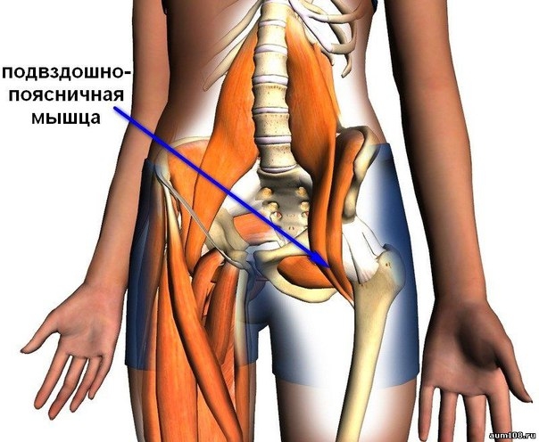 Патология глубоких мышц спины