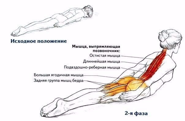 Всего одно упражнение для королевской осанки Всего одно упражнение для королевской осанки