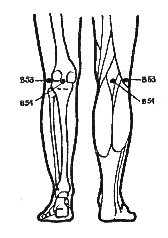Точечный массаж при болях в коленных суставах