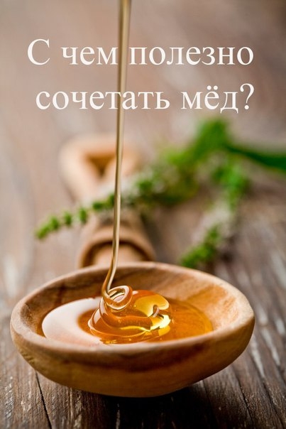 ПОЛЕЗНЫЕ СОЧЕТАНИЯ ПРОДУКТОВ С МЁДОМ ПОЛЕЗНЫЕ СОЧЕТАНИЯ ПРОДУКТОВ С МЁДОМ