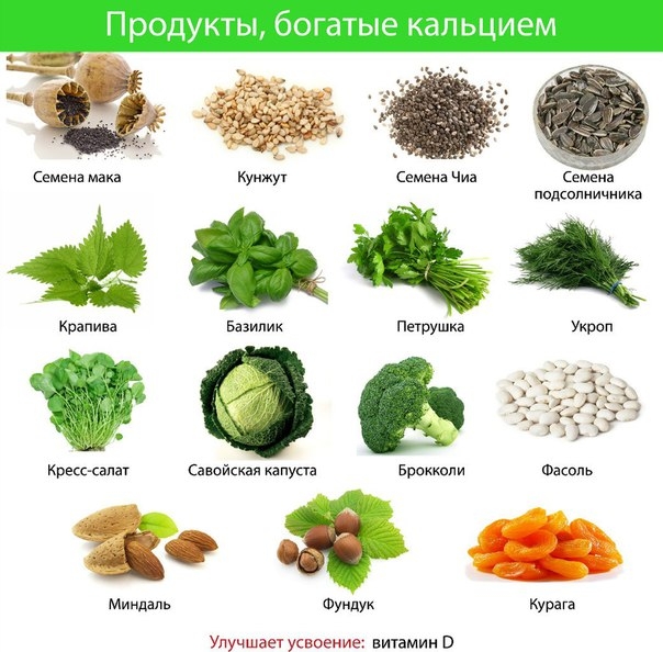 ПРОДУКТЫ, КОТОРЫЕ СОДЕРЖАТ НАИБОЛЬШЕЕ КОЛИЧЕСТВО КАЛЬЦИЯ ПРОДУКТЫ, КОТОРЫЕ СОДЕРЖАТ НАИБОЛЬШЕЕ КОЛИЧЕСТВО КАЛЬЦИЯ