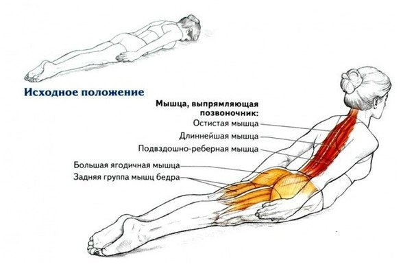 Всего одно упражнение для королевской осанки. Всего одно упражнение для королевской осанки.