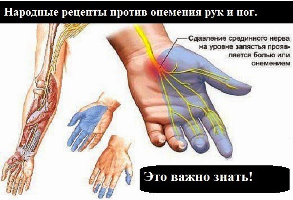 Народные рецепты против онемения рук и ног