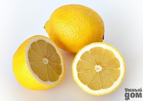 Лимон — кладовая полезных веществ