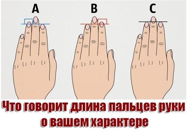 В исследовании участвовало более 100 тыс человек. Все просто. Посмотрите на свою руку и сравните длину указательного и безымянного пальцев.