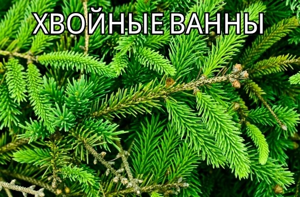 Хвойные ванны можно приготовить так. В 200 л воды растворяют 100 мл натурального жидкого хвойного экстракта или один брикет в 50 г. Брикет лучше сначала растворить в теплой воде, а затем уже вылить в ванну. Температура ванны 35—37 °С, принимают в течение Хвойные ванны можно приготовить так. В 200 л воды растворяют 100 мл натурального жидкого хвойного экстракта или один брикет в 50 г. Брикет лучше сначала растворить в теплой воде, а затем уже вылить в ванну. Температура ванны 35—37 °С, принимают в течение