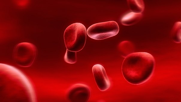 Некоторые знают, что густую кровь надо разжижать. Замедленный кровоток приводит к кислородному голоданию внутренних органов. И к возможному образованию тромбов.