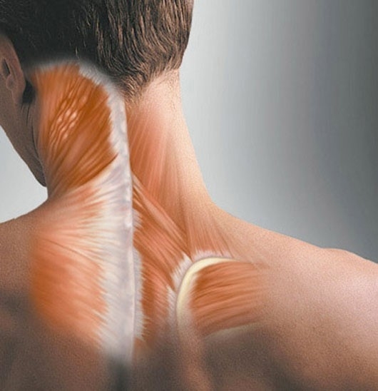 Спасение от спазмов мышц шеи