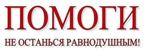 Срочно идет сбор одной мусульманке. Деньги нужны на операцию. ОНА ИЗ село аксенова республика Мордовия, разведенная, есть маленький ребенок, только сделали операцию, еще нашли новообразование, кровь течет из носа постоянно из за давления, т.к одной почки Срочно идет сбор одной мусульманке. Деньги нужны на операцию. ОНА ИЗ село аксенова республика Мордовия, разведенная, есть маленький ребенок, только сделали операцию, еще нашли новообразование, кровь течет из носа постоянно из за давления, т.к одной почки