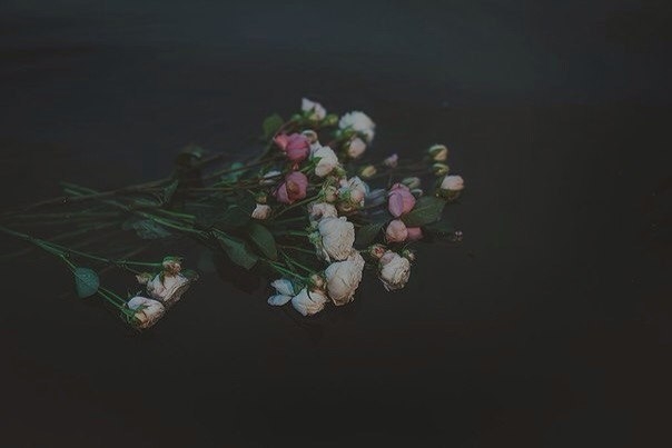 — Передают со слов Абу Хурайры, да будет доволен им Аллах, что посланник Аллаха, да благословит его Аллах и приветствует, сказал: — Передают со слов Абу Хурайры, да будет доволен им Аллах, что посланник Аллаха, да благословит его Аллах и приветствует, сказал: