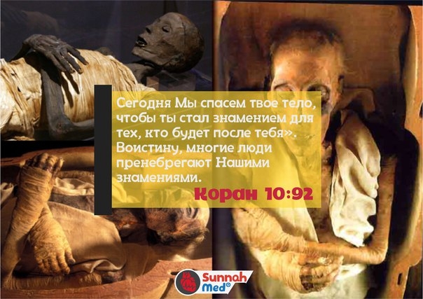 Сегодня Мы спасем твое тело, чтобы ты стал знамением для тех, кто будет после тебя». Воистину, многие люди пренебрегают Нашими знамениями. Сегодня Мы спасем твое тело, чтобы ты стал знамением для тех, кто будет после тебя». Воистину, многие люди пренебрегают Нашими знамениями.