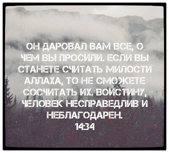 Полезные советы от Имама аш Шафии Полезные советы от Имама аш Шафии