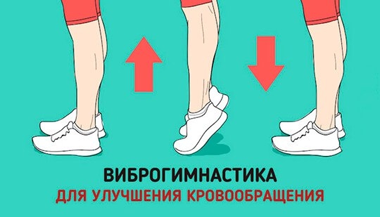 Маленький секрет долголетия от академика Маленький секрет долголетия от академика