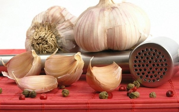 ЧЕСНОЧНАЯ ШЕЛУХА ПРОДЛИТ МОЛОДОСТЬ КОЖИ ЧЕСНОЧНАЯ ШЕЛУХА ПРОДЛИТ МОЛОДОСТЬ КОЖИ