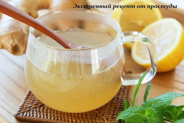 ЭКСТРЕННЫЙ РЕЦЕПТ ОТ ПРОСТУДЫ ЭКСТРЕННЫЙ РЕЦЕПТ ОТ ПРОСТУДЫ