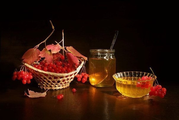 КАЛИНА С МЕДОМ КАЛИНА С МЕДОМ