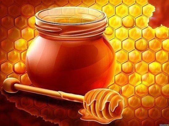 Почему мёд полезен для работы мозга?