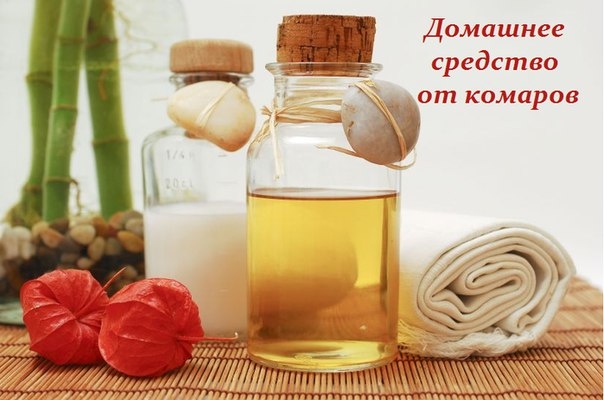 ОПРОБОВАННОЕ ДОМАШНЕЕ СРЕДСТВО ОТ КОМАРОВ ОПРОБОВАННОЕ ДОМАШНЕЕ СРЕДСТВО ОТ КОМАРОВ