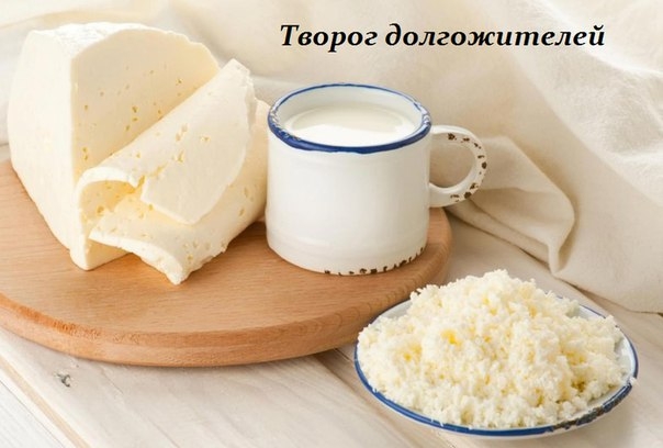 ТВОРОГ ДОЛГОЖИТЕЛЕЙ - РЕЦЕПТ ЗДОРОВЬЯ И МОЛОДОСТИ ТВОРОГ ДОЛГОЖИТЕЛЕЙ - РЕЦЕПТ ЗДОРОВЬЯ И МОЛОДОСТИ