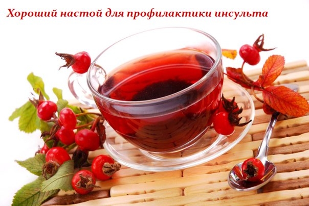 ХОРОШИЙ НАСТОЙ ДЛЯ ПРОФИЛАКТИКИ ИНСУЛЬТА ХОРОШИЙ НАСТОЙ ДЛЯ ПРОФИЛАКТИКИ ИНСУЛЬТА