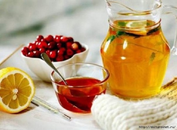 5 ПРОСТЫХ И ВОЛШЕБНЫХ РЕЦЕПТА ОТ КАШЛЯ! 5 ПРОСТЫХ И ВОЛШЕБНЫХ РЕЦЕПТА ОТ КАШЛЯ!