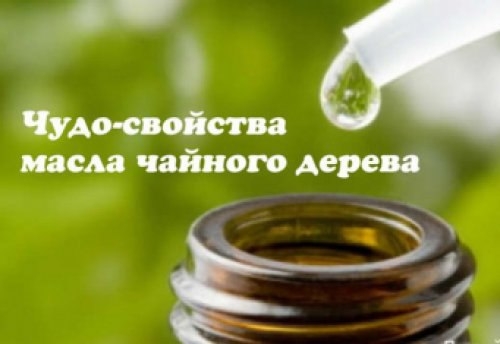 МАСЛО ЧАЙНОГО ДЕРЕВА ДЛЯ ЗДОРОВЬЯ МАСЛО ЧАЙНОГО ДЕРЕВА ДЛЯ ЗДОРОВЬЯ