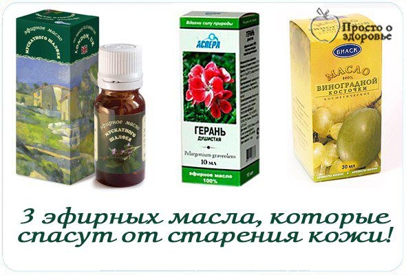 3 ЭФИРНЫХ МАСЛА, КОТОРЫЕ СПАСУТ ОТ СТАРЕНИЯ КОЖИ 3 ЭФИРНЫХ МАСЛА, КОТОРЫЕ СПАСУТ ОТ СТАРЕНИЯ КОЖИ