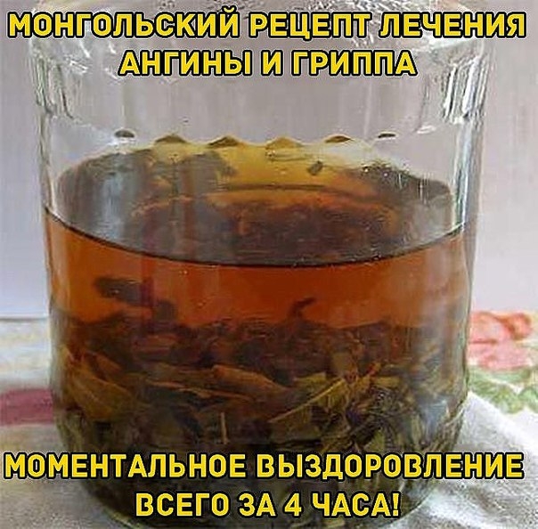 МОНГОЛЬСКИЙ РЕЦЕПТ ЛЕЧЕНИЯ АНГИНЫ И ГРИППА МОНГОЛЬСКИЙ РЕЦЕПТ ЛЕЧЕНИЯ АНГИНЫ И ГРИППА