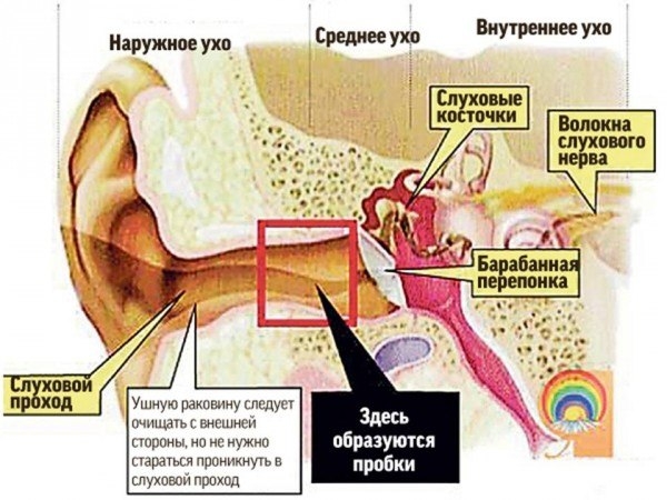 Причины формирования ушной пробки