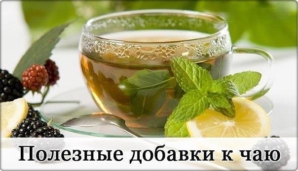 ПОЛЕЗНЫЕ ДОБАВКИ К ЧАЮ ПОЛЕЗНЫЕ ДОБАВКИ К ЧАЮ