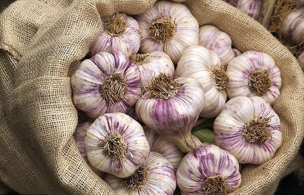 Чесночная шелуха продлевает молодость кожи! Чесночная шелуха продлевает молодость кожи!