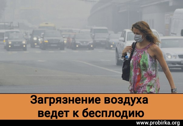Доказано - загрязнение воздуха ведет к бесплодию Доказано - загрязнение воздуха ведет к бесплодию