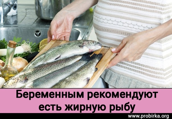 Беременным рекомендуют есть жирную рыбу Беременным рекомендуют есть жирную рыбу