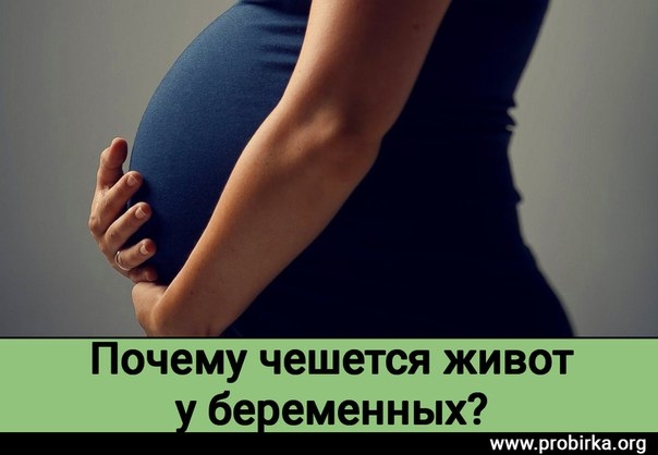 Почему чешется живот у беременных?