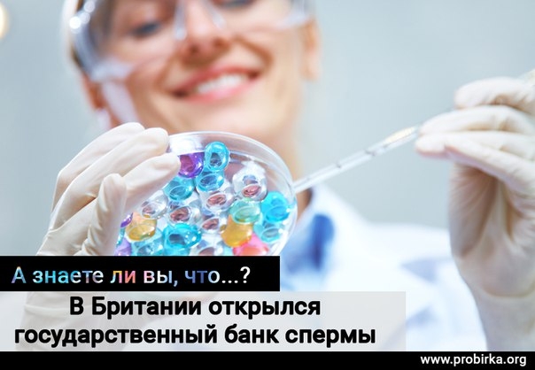 Новости из-за границы (Великобритания) Новости из-за границы (Великобритания)