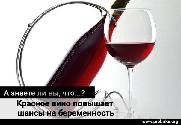 Красное вино повышает шансы на беременность Красное вино повышает шансы на беременность