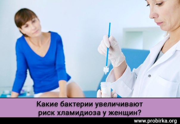 Какие бактерии увеличивают риск хламидиоза у женщин? Какие бактерии увеличивают риск хламидиоза у женщин?