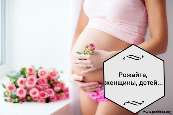 Сопит во сне, сосет пустышку, Сопит во сне, сосет пустышку,