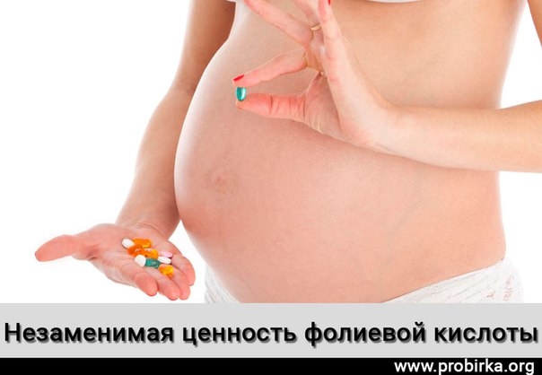 Незаменимая ценность фолиевой кислоты Незаменимая ценность фолиевой кислоты