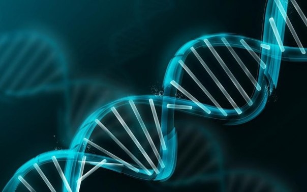 Ученые отредактировали геном человека Ученые отредактировали геном человека