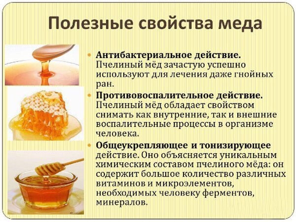 Как влияет мед на печень? Как влияет мед на печень?