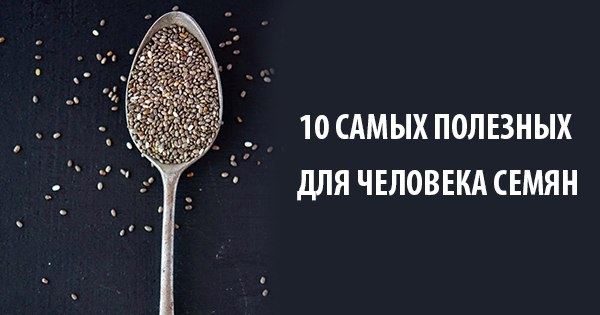 10 самых полезных для человека семян