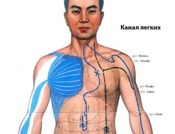 Канал лёгких: справиться с одышкой, кашлем, воспалением в горле